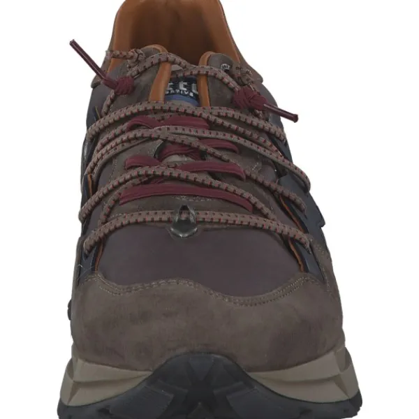 Herren Cetti Klassische- & Business Schuhe<C1327 EXP, Klassische- & Business Schuhe, Herren, Braun