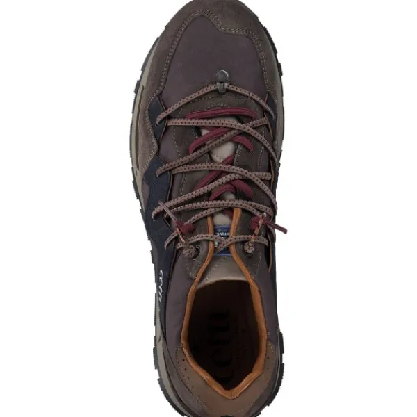 Herren Cetti Klassische- & Business Schuhe<C1327 EXP, Klassische- & Business Schuhe, Herren, Braun