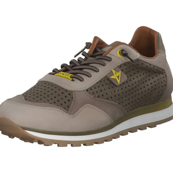 Herren Cetti Klassische- & Business Schuhe<C848 EXP M, Klassische- & Business Schuhe, Herren, Beige