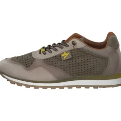 Herren Cetti Klassische- & Business Schuhe<C848 EXP M, Klassische- & Business Schuhe, Herren, Beige