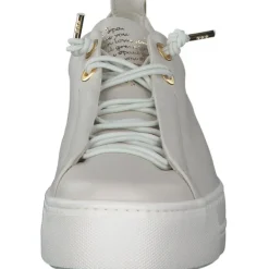 Damen Paul Green Sneakers<5017, Sneakers Low, Damen, ivory